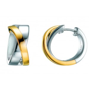 http://time-deal.com/1162-1406-thickbox/earrings-pcco90169a.jpg