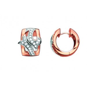 http://time-deal.com/1165-1410-thickbox/pendientes-pierre-cardin-pcco90172c.jpg
